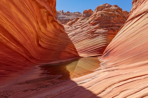 The Wave Coyote Buttes Arizona Estados Unidos