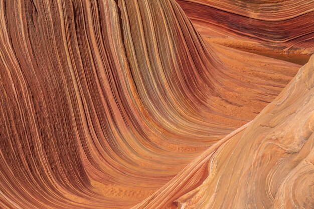 Foto the wave coyote buttes arizona usa