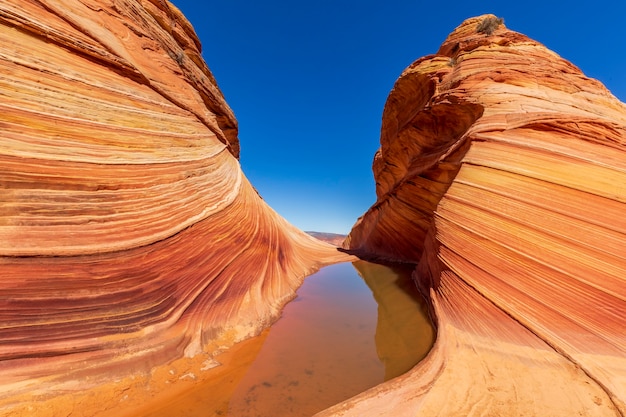 The Wave Coyote Buttes Arizona USA