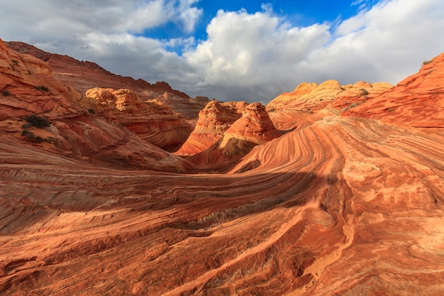 The Wave Coyote Butts Nord-Arizona USA