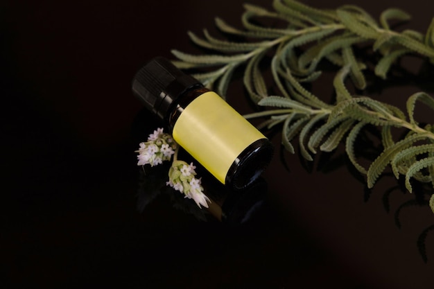Ätherische Ölflasche mit Lavendelzweig an der Seite Schwarzer und reflektierender Oberflächenselektiver Fokus
