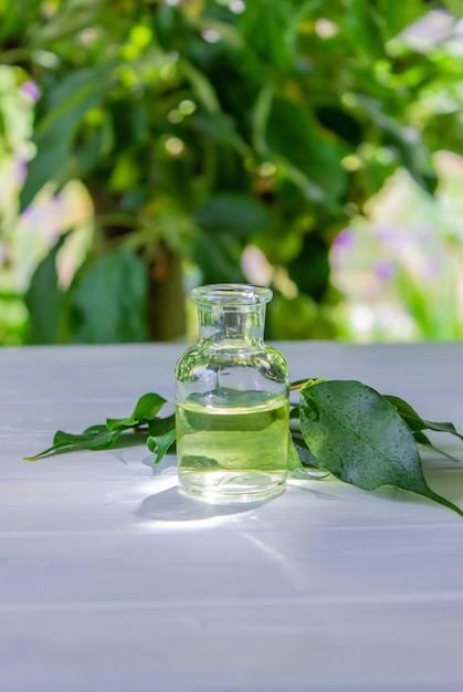 Ätherisches Kräuteröl in einer kleinen Flasche Natur