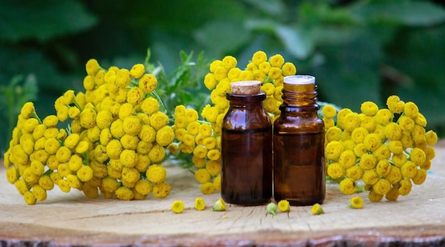 Ätherisches Öl aus der Immortelle-Pflanze Natur