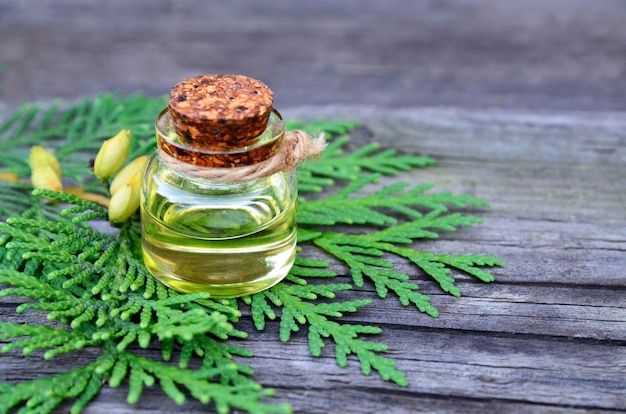 Ätherisches Öl des Thuja-Aromas in einem Glas für Spa, Aromatherapie und Körperpflege auf altem hölzernem Hintergrund.