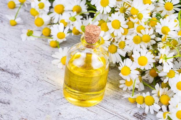 Ätherisches Öl in der Glasflasche mit frischen Kamillenblumen, Schönheitsbehandlung.