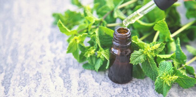 Ätherisches Pfefferminzöl in einer kleinen Flasche. Selektiver Fokus. Natur.