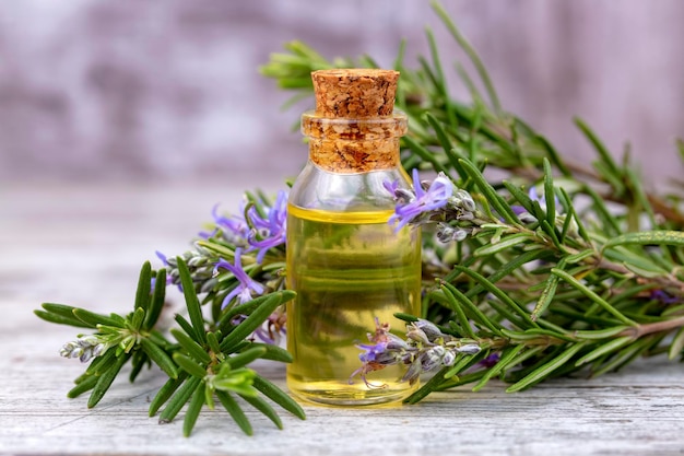 Ätherisches Rosmarinöl in einer kleinen Flasche. Kosmetisches Öl mit natürlichem Aroma