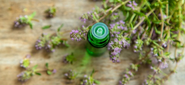 Ätherisches Thymianöl in einer Flasche Selektiver Fokus