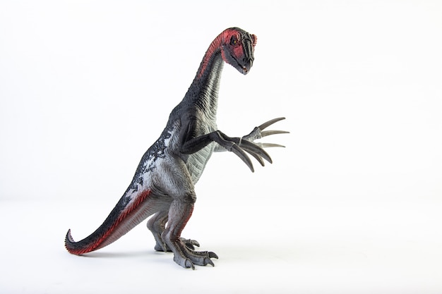 Therizinosaurus, dinosaurio aislado