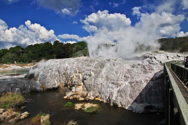 Thermalpark in Rotorua Neuseeland