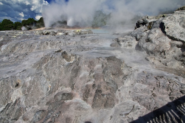 Thermalpark in Rotorua, Neuseeland