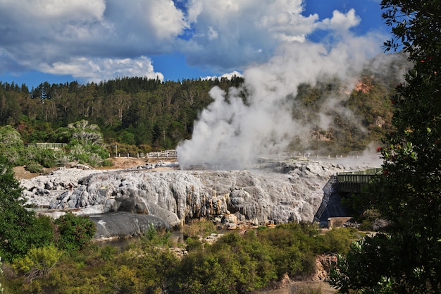 Thermalpark in Rotorua