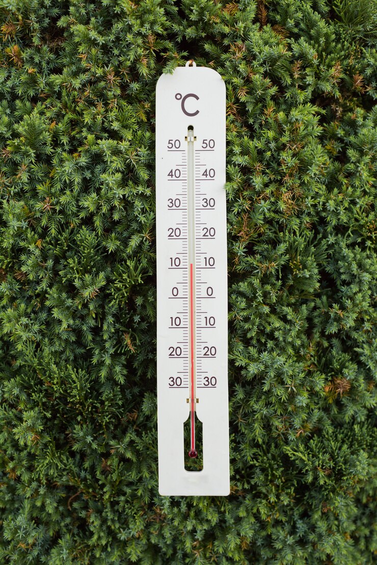 Thermometer am grünen Baum zeigt niedrige Temperaturen