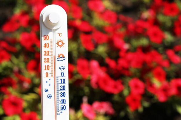 Thermometer auf natürlichem Hintergrund