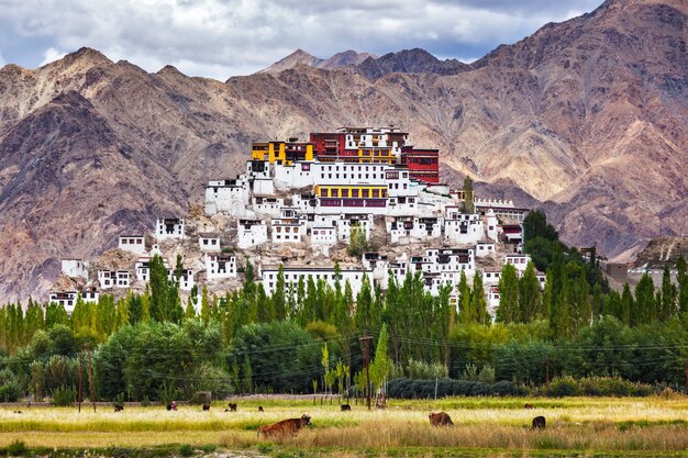 Thiksey Gompa, Ladakh, Indien