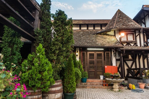 Thuja de hoja perenne y cipreses en bañeras cerca de la cabaña de madera