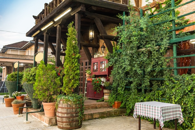 Thuja de hoja perenne y cipreses en bañeras cerca de la cabaña de madera