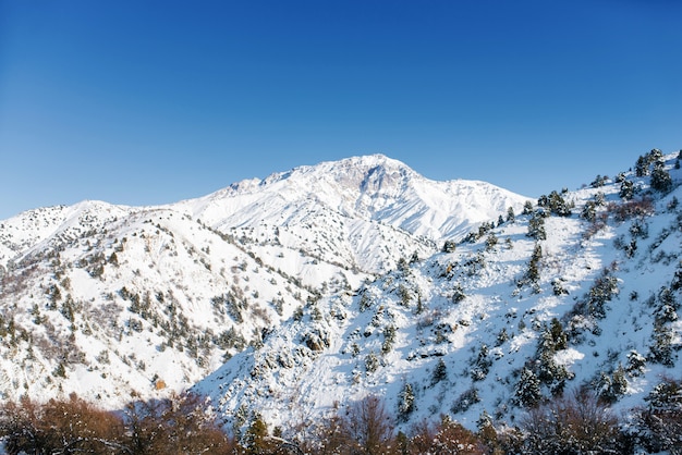 Tian Shan Gebirgssystem in Usbekistan. Winterlandschaft im Skigebiet Beldersay