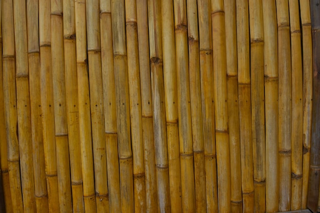 Tido de bambu amarelo