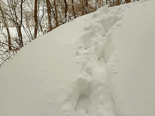 Tiefe menschliche Fußabdrücke im Schneewinter