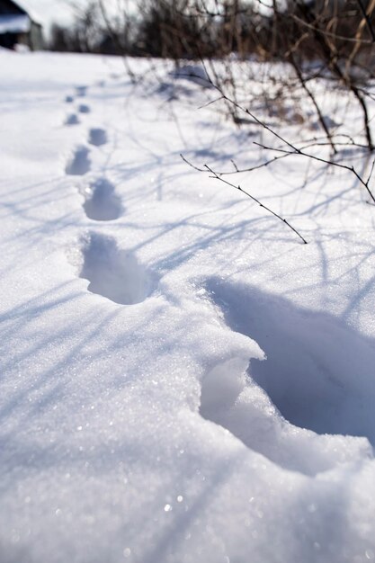 Tiefe Spuren in einer Schneewehe in einem Gemüsegarten auf dem Land