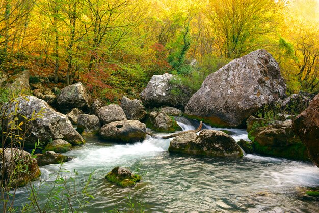 Tiefer Herbst am Fluss