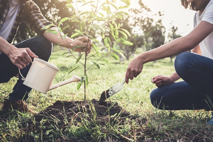 Foto tiefes abschnitt von paar gartenarbeit auf dem feld