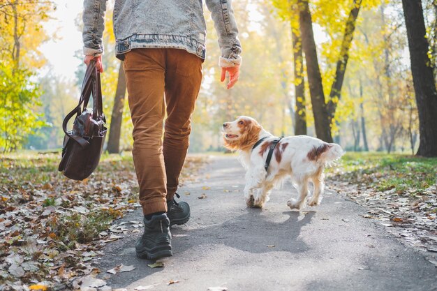 Tiefes Teil eines Mannes mit einem Hund, der auf der Straße im Park spazieren geht