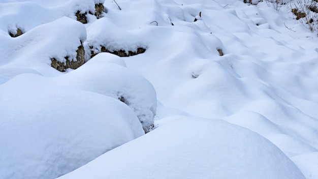 Tiefschnee im Winterwald