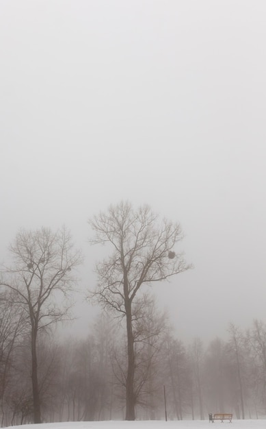 Tiefschneeverwehungen nach dem letzten Schneefall, Winterkälte nach dem Schneefall, Schneeverwehungen im Winter