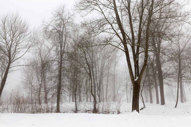 Tiefschneeverwehungen nach dem letzten Schneefall