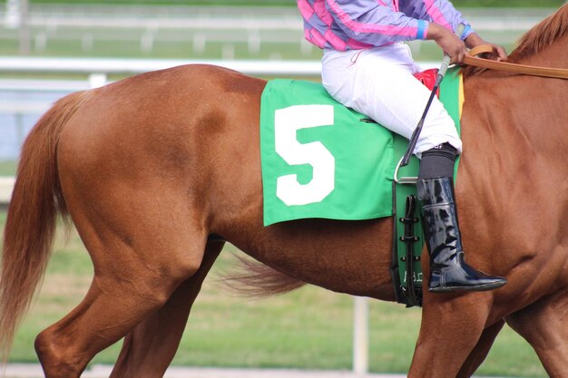 Foto tiefste sektion von jockey, der auf einem pferd über dem feld reitet