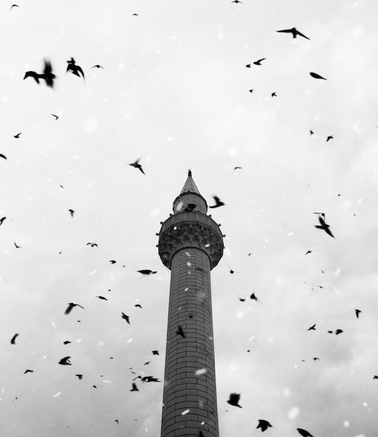 Tiefwinkelansicht von Vögeln, die im Himmel um den Turm fliegen