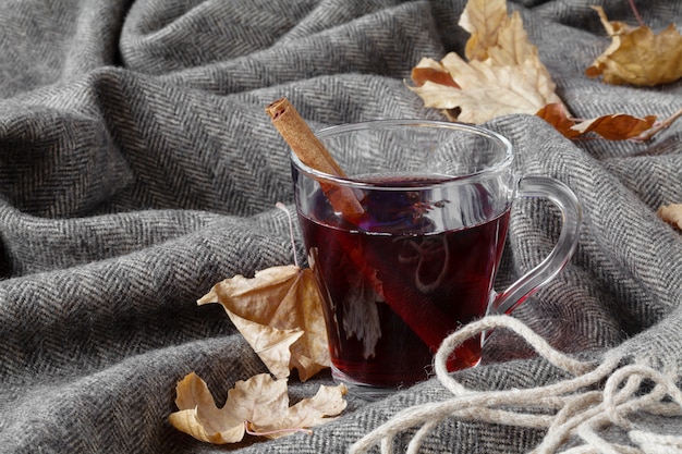 Tiempo frío bebida de alcohol caliente, vino caliente