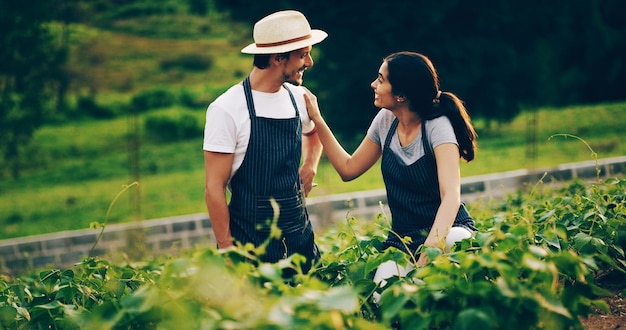 El tiempo de jardinería es tiempo de calidad Captura de una joven pareja feliz trabajando juntos en un jardín