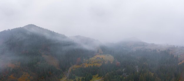 Tiempo de niebla lluviosa en el valle de los Cárpatos en la hermosa Ucrania en la aldea de Dzembronya