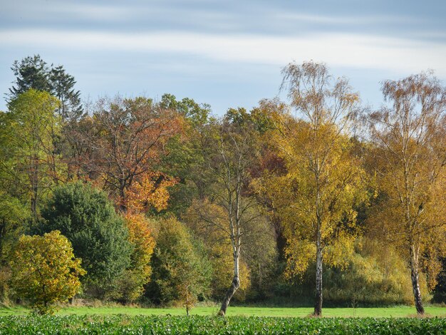 Tiempo de otoño en Westfalia