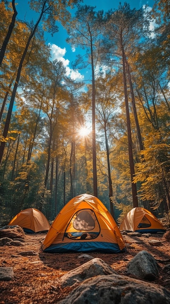 Foto tienda de campaña acampando en un bosque bajo un cielo azul y soleado