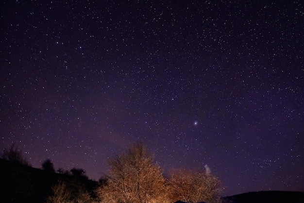 Tienda de campaña amarilla iluminada bajo las estrellas por la noche