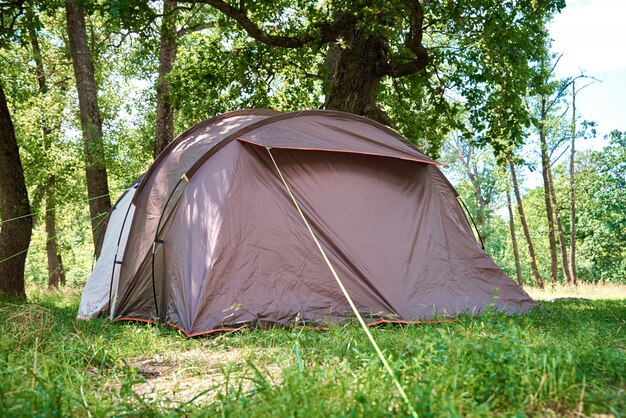 Tienda de campaña Campimg en bosque de pinos en un día de verano