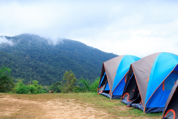 Tienda de campaña domo en el Parque Nacional