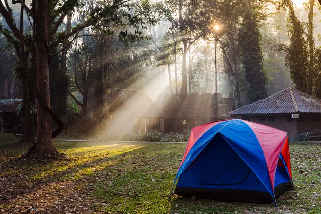 Tienda de campaña familiar en el bosque. Parque nacional en Tailandia con bungalows para acampar. Impresionante luz de la mañana entre altos árboles. Naturaleza, trekking y turismo en Asia