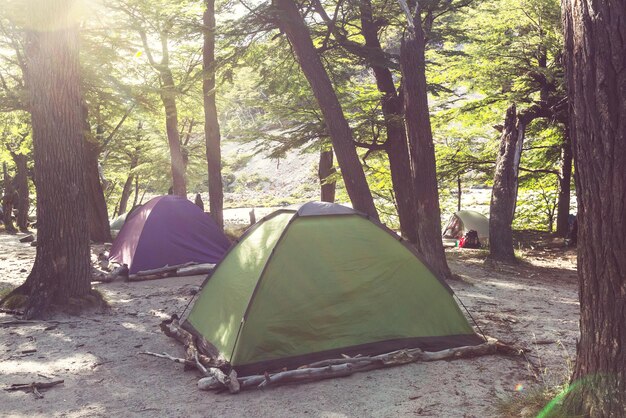 Tienda en un camping forestal