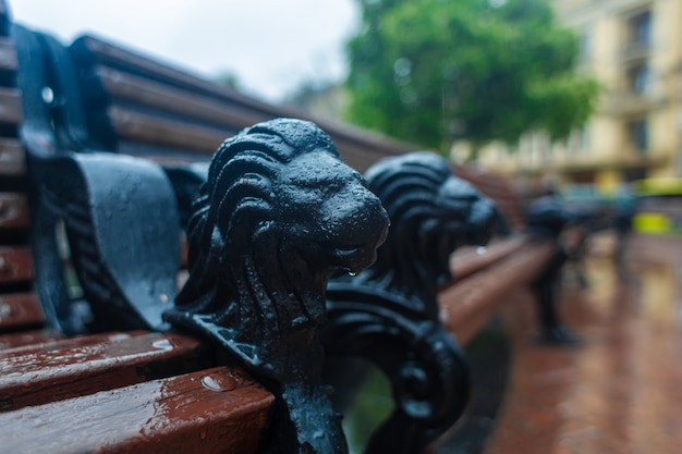 Tienda elegante en el parque de la ciudad de lviv. sivol de los leones de  la ciudad en los reposabrazos. | Foto Premium