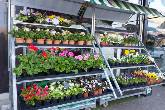 Una tienda de flores en la calle con flores brillantes en macetas en los estantes