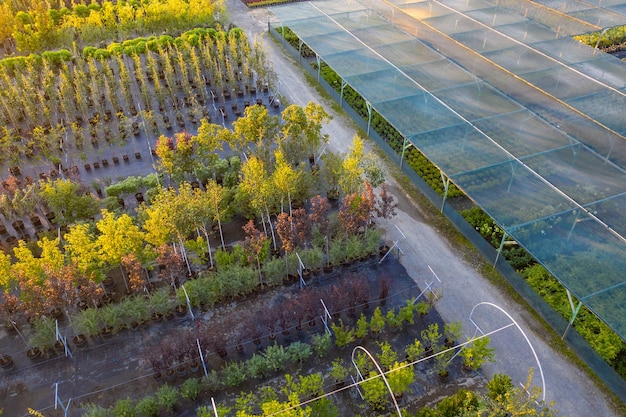 Tienda o vivero de plantas ornamentales. Vista de drones