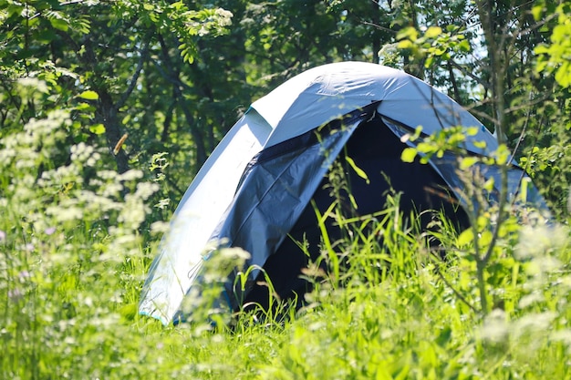 Tienda de plata en una soleada pradera en el bosque