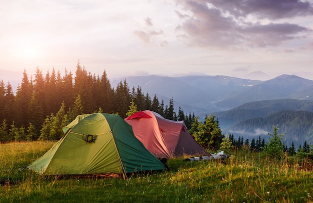 Las tiendas turísticas están en el bosque verde y brumoso en las montañas al atardecer.