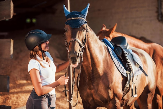 Tier ist in blauer Kleidung. Reiterin in Uniform und schwarzem Schutzhelm mit ihrem Pferd.