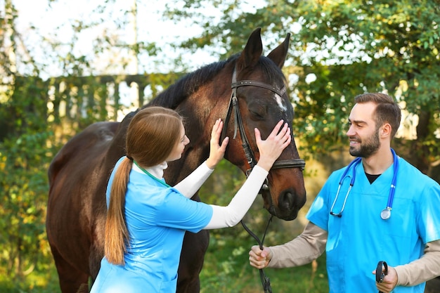 Foto tierärzte in uniform mit schönem braunem pferd im freien